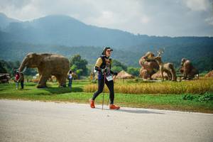 BIB: 
                            <button type="button" onclick="openModal(22434251)" class="btn btn-primary btn-sm float-right btn-popup" data-toggle="modal" data-target=".modal-high-quality">
                        <i class="fas fa-shopping-cart"></i> Add to Cart
                    </button>
                                            <button type="button" onclick="isThisMe(22434251, true)" class="btn btn-success btn-sm float-right btn-popup btn-isme hidden" data-toggle="tooltip" data-placement="bottom" title="นี่คือรูปของคุณใช่ไหม คลิกที่นี่เพื่อเอาเข้าอัลบั้ม">
                        <i class="fas fa-plus"></i> Add to album
                    </button>
                    <button type="button" onclick="isThisMe(22434251, false)" class="btn btn-warning btn-sm float-right btn-popup btn-isnotme hidden">
                        <i class="fas fa-ban"></i> Remove from album
                    </button>